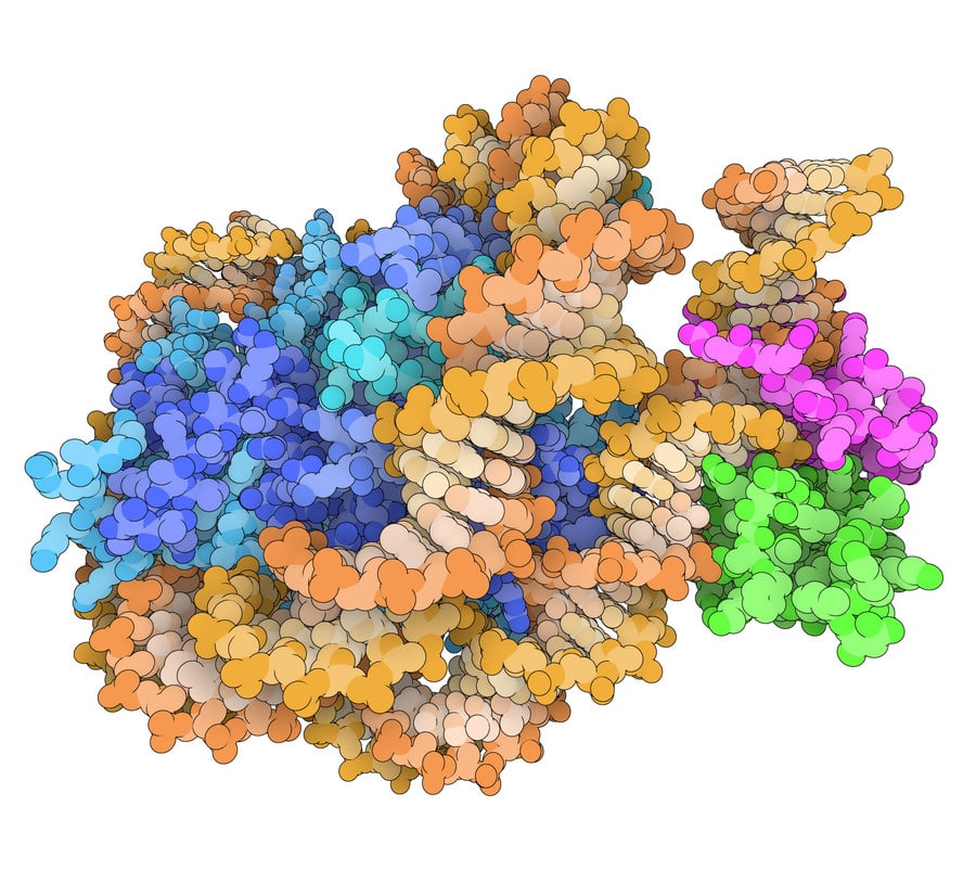 Illustration 3D protein and nucleic acid structure
