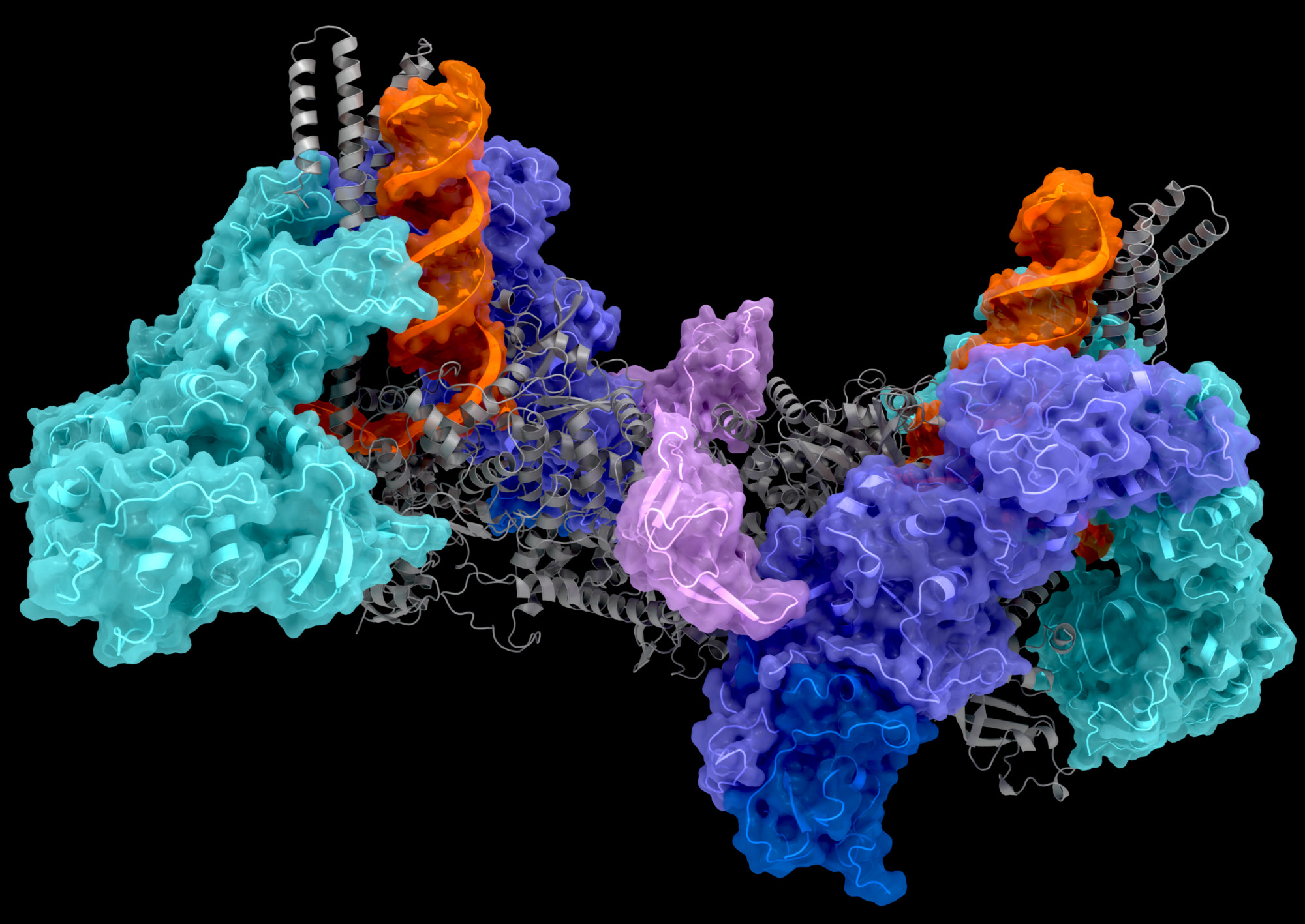 3D Protein Imaging header image representing a 3D molecular complex